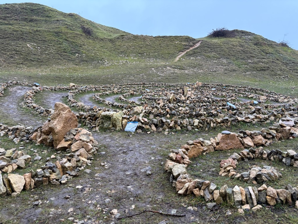 Spira Del Leone Aureo on Selsley Common